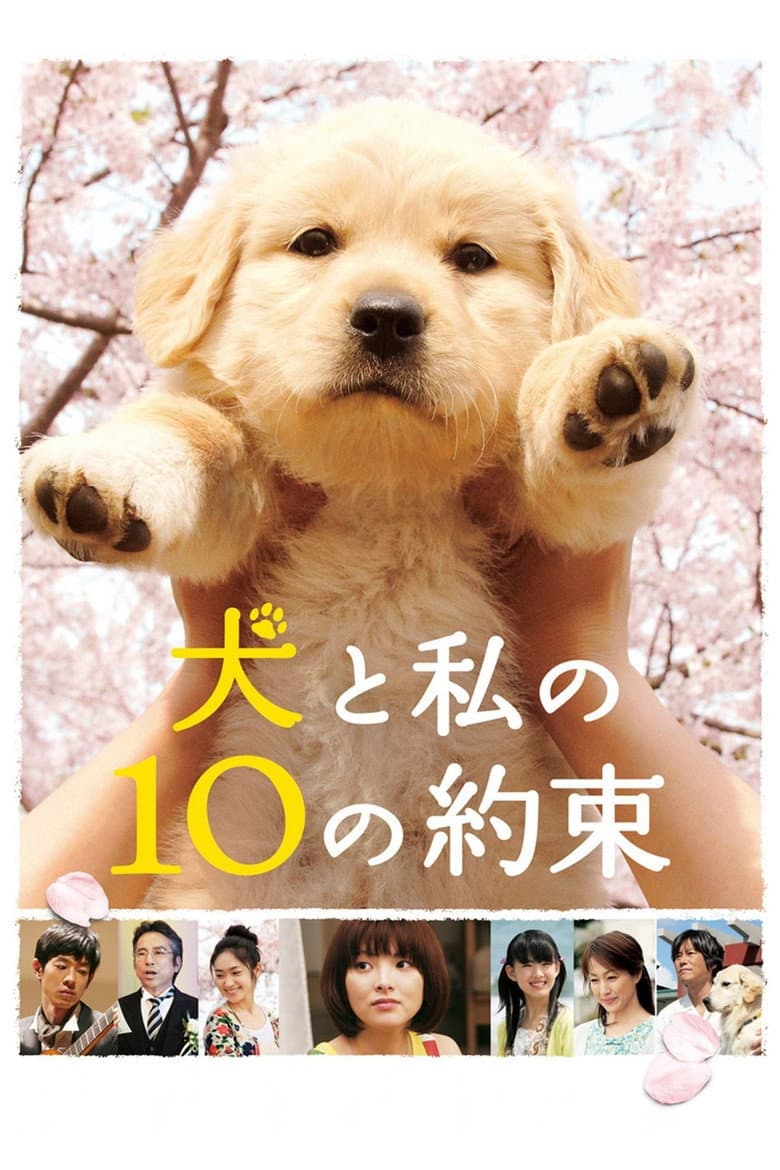 โปสเตอร์ 10 Promises to My Dog (2008)