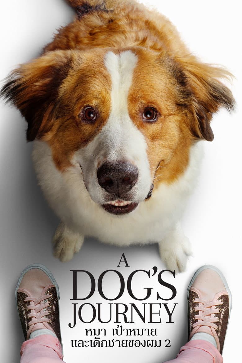 โปสเตอร์ A Dog’s Journey (2019)