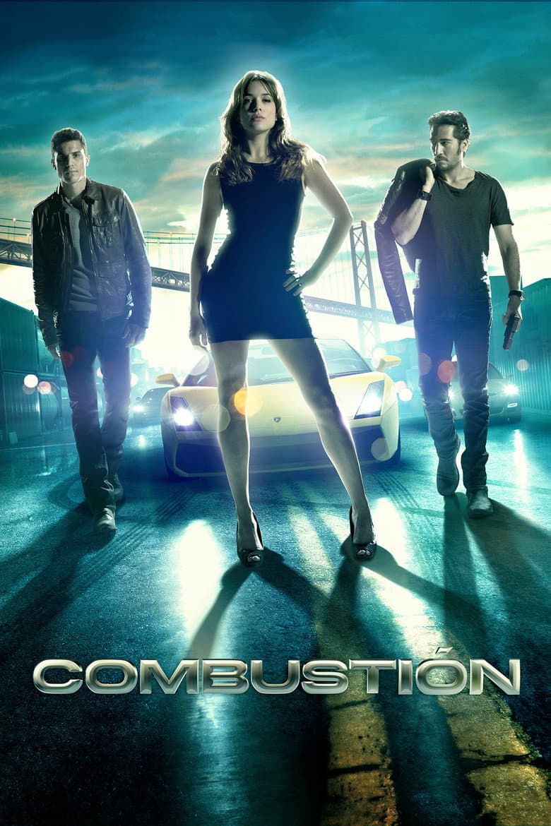 โปสเตอร์ Combustion (2013)