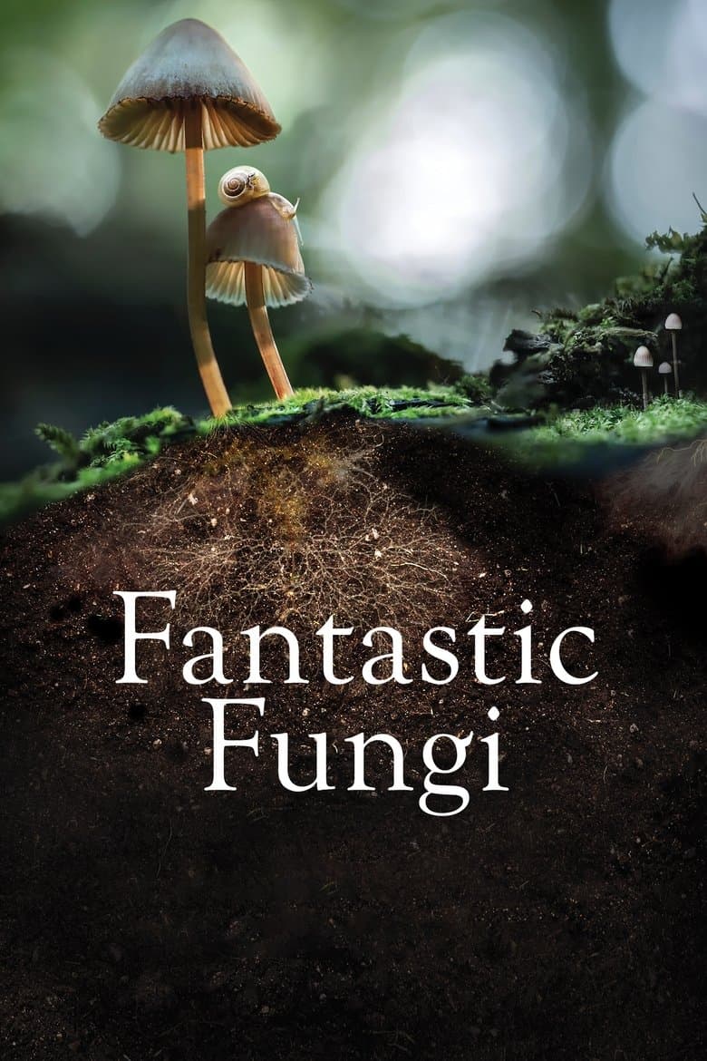 โปสเตอร์ Fantastic Fungi (2019)