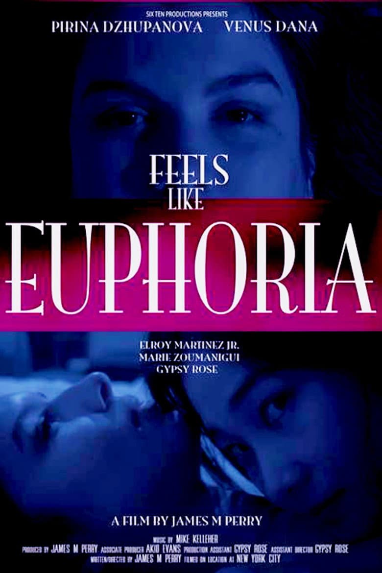 โปสเตอร์ Feels Like Euphoria (2017)
