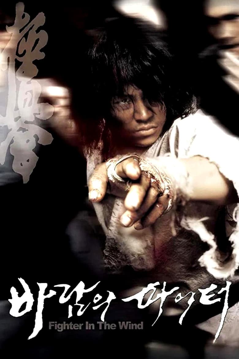 โปสเตอร์ Fighter in the Wind (2004)