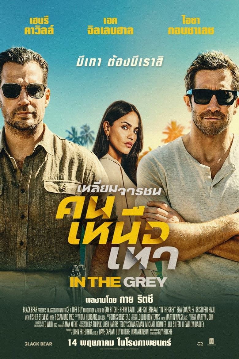 โปสเตอร์ In the Grey (2026)