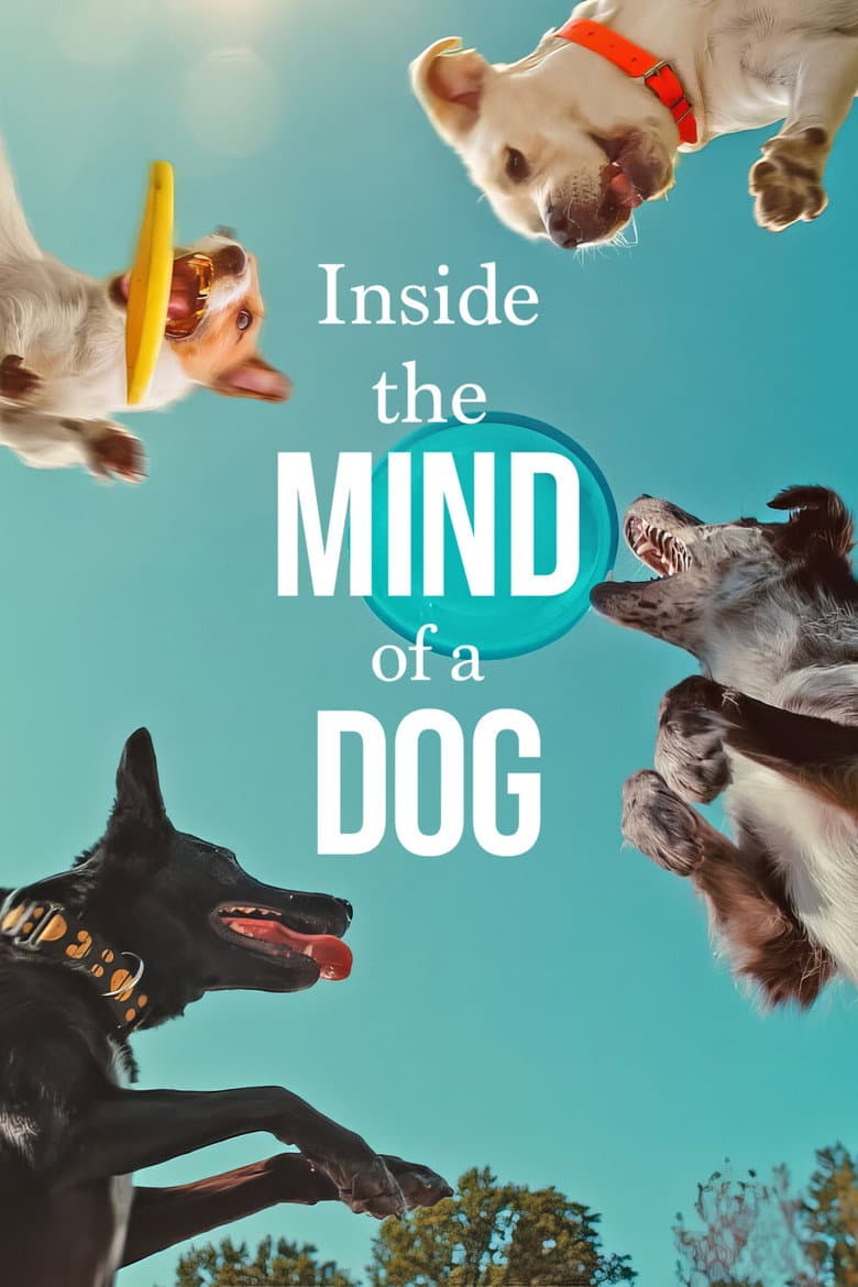 โปสเตอร์ Inside the Mind of a Dog (2024)