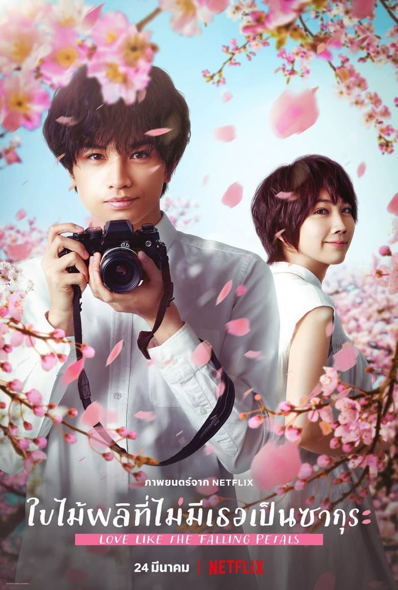โปสเตอร์ Love Like the Falling Petals (2022)