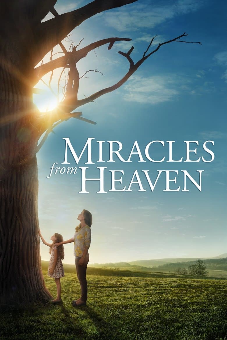 โปสเตอร์ Miracles from Heaven (2016)