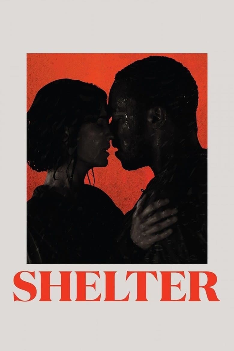 โปสเตอร์ Shelter (2014)