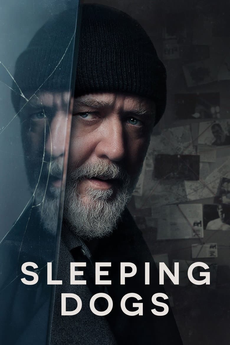 โปสเตอร์ Sleeping Dogs (2024)