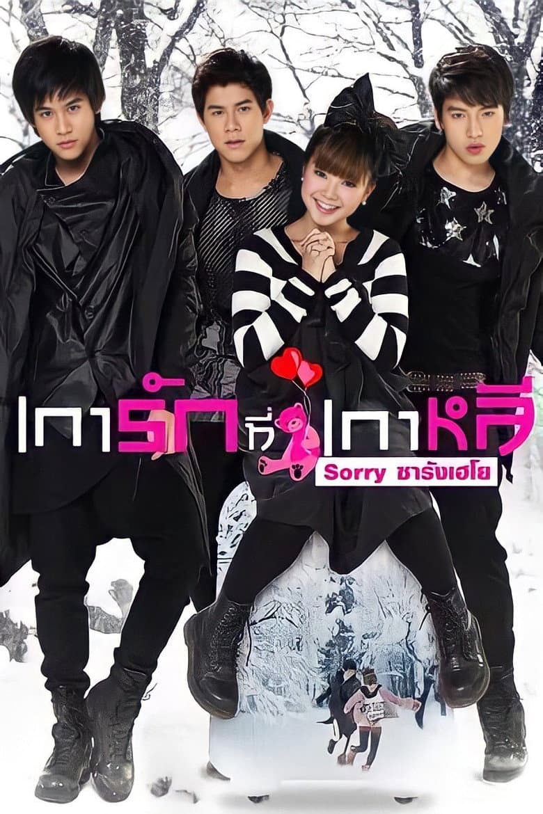 โปสเตอร์ Sorry Saranghaeyo (2010)