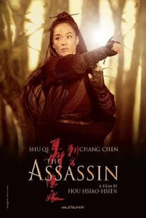 โปสเตอร์ The Assassin (2015)