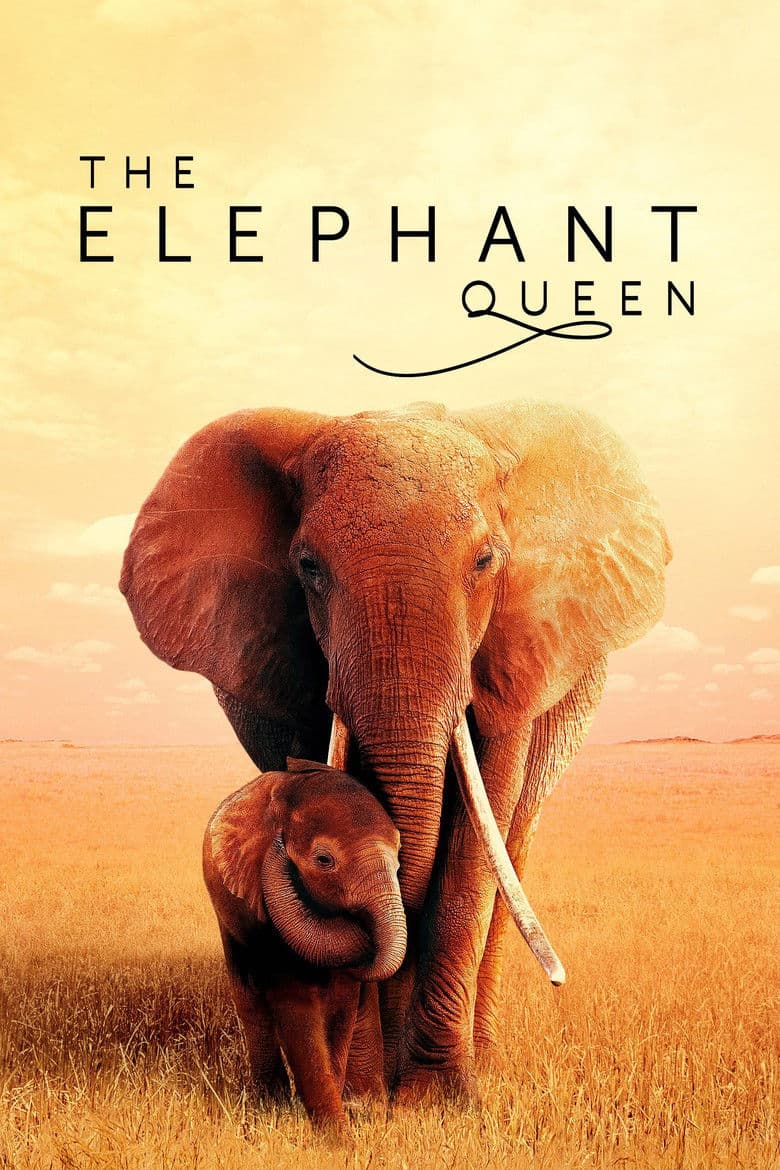 โปสเตอร์ The Elephant Queen (2019)