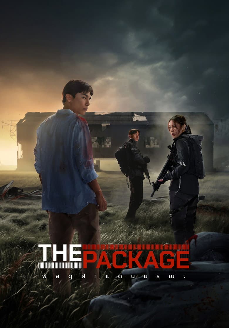 โปสเตอร์ The Package (2013)