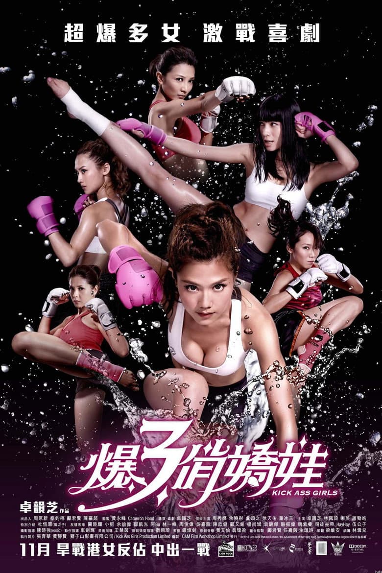 โปสเตอร์ Kick Ass Girls (2013)