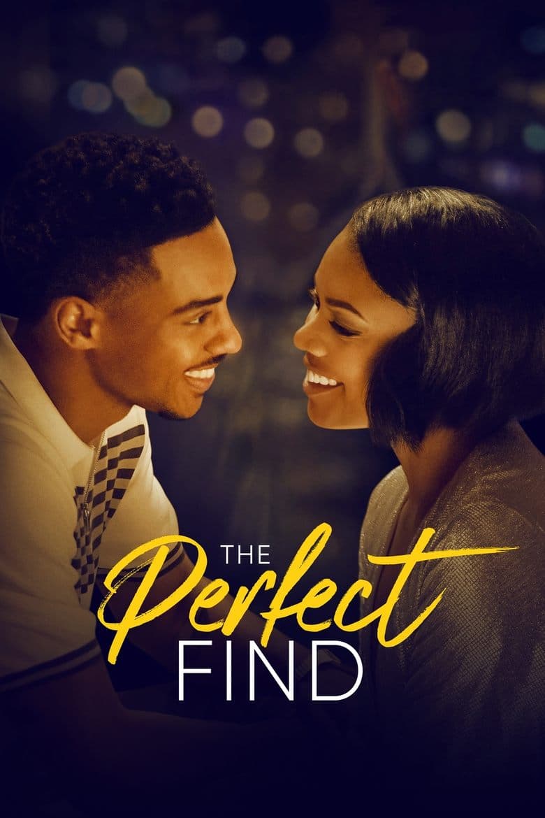 โปสเตอร์ The Perfect Find (2023)