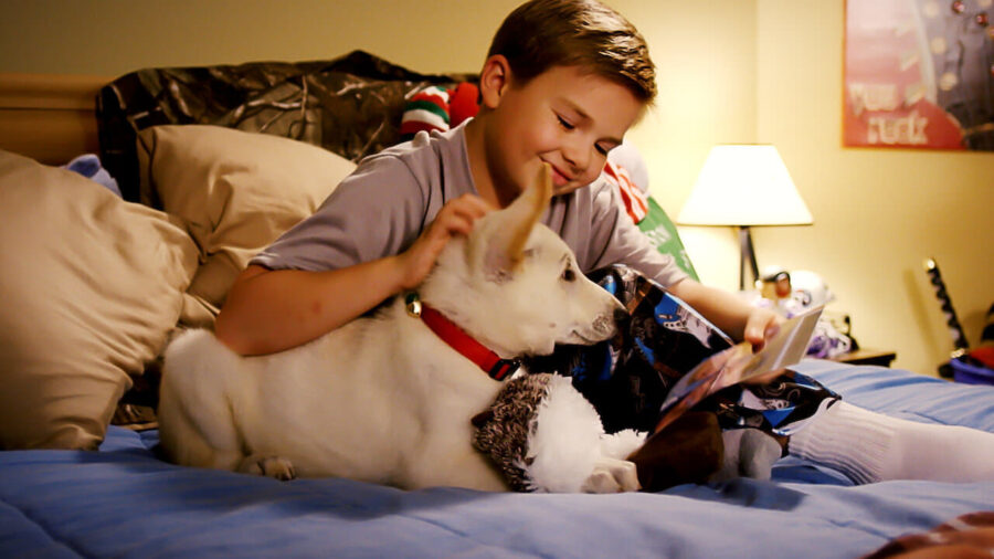 A Belle for Christmas (2014) - A Belle for Christmas
