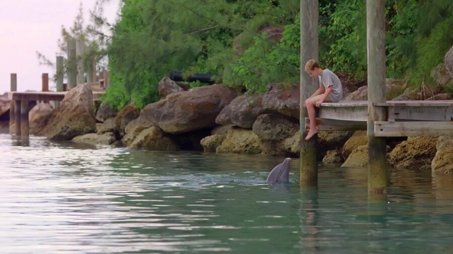 Dolphin Kick (2019) - Dolphin Kick