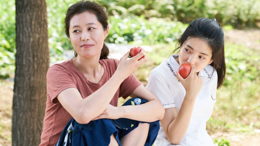Little Forest (Liteul poreseuteu) (2018) ลิตเติ้ลฟอเรสต์ - 리틀 포레스트