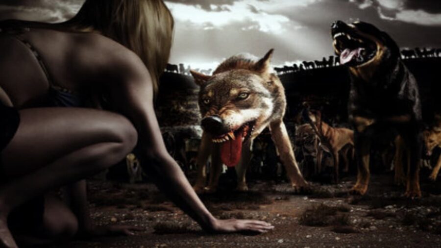 The Breed (2006) พันธุ์นรก ล่าหฤโหด - The Breed