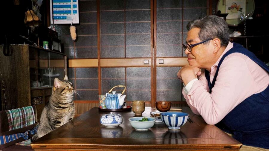 The Island of Cats (2019) แมวเหมียวกับคุณลุง - ねことじいちゃん