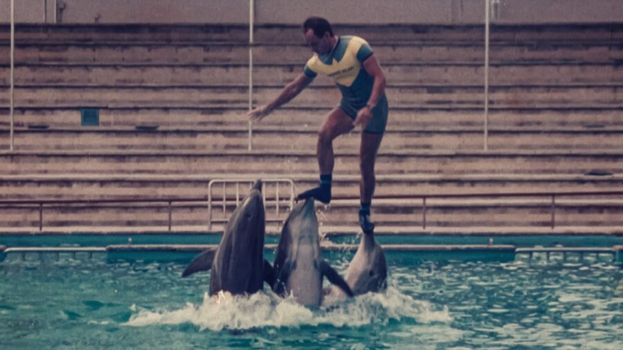 The Last Dolphin King (2022) ราชาโลมาคนสุดท้าย - ¿Qué le pasó al rey de los delfines?
