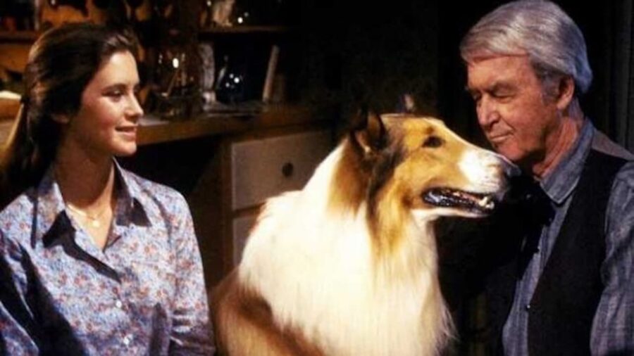The Magic of Lassie (1978) เดอะ แมจิก ออฟ แลสซี่ (ซับไทย) - The Magic of Lassie