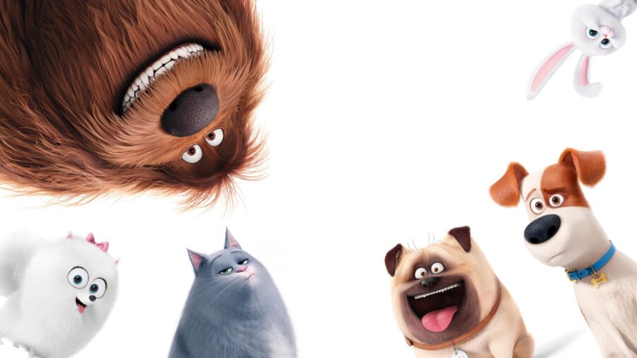 The Secret Life of Pets (2016) เรื่องลับแก๊งขนฟู - The Secret Life of Pets