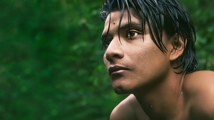 The Territory (2022) - The Territory