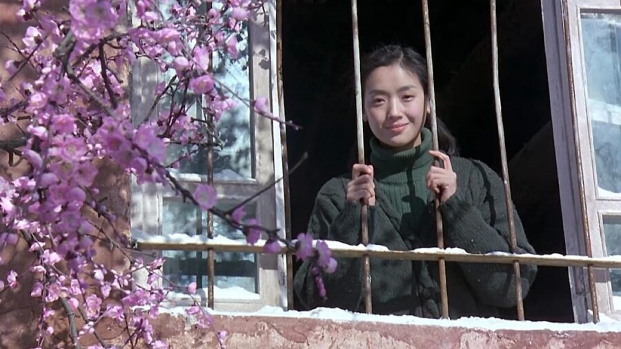 Treasure Hunt (1994) แตะเธอ…โลกแตกแน่! - 花旗少林
