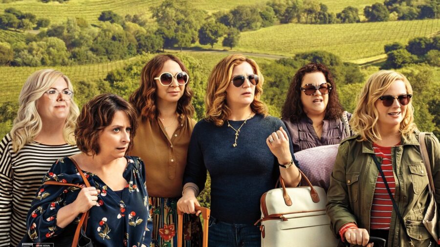 Wine Country (2019) ไวน์ คันทรี่ - Wine Country